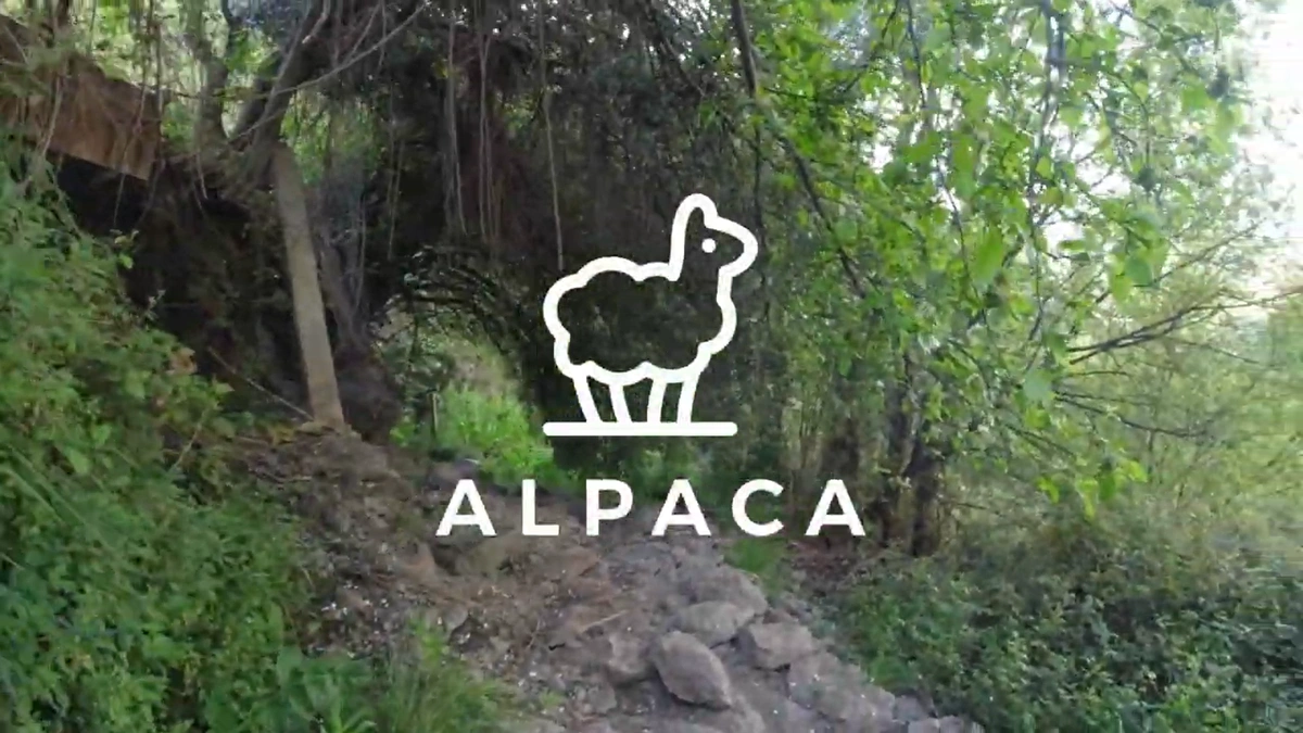 Trabajos_balate_timelapse